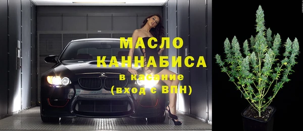 сатива Михайлов