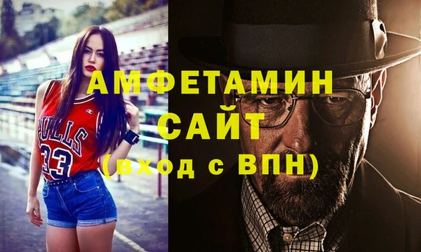 сатива Вяземский