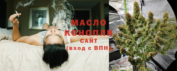 сатива Михайлов