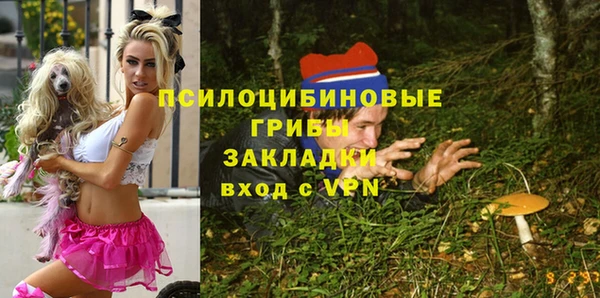 прущая мука Мегион