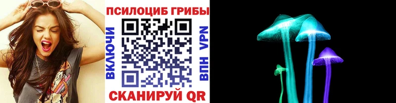 наркота  Динская  Псилоцибиновые грибы Psilocybe 